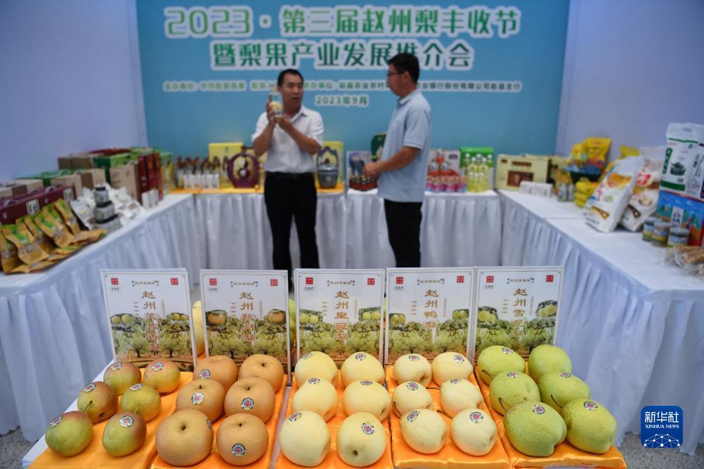 下载ag娱乐